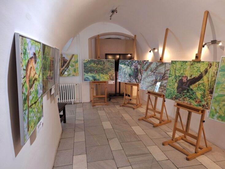 Lucie a Lukáš Zemanovi - Naši nejbližší příbuzní - Mázhaus - Pardubice - 06.07.2024