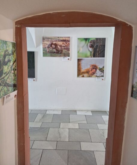 Lucie a Lukáš Zemanovi - Naši nejbližší příbuzní - Mázhaus - Pardubice - 06.07.2024