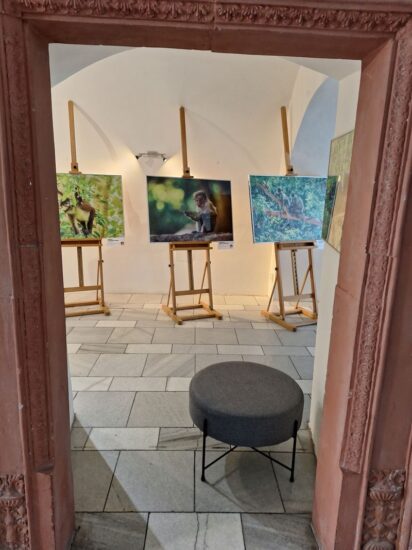Lucie a Lukáš Zemanovi - Naši nejbližší příbuzní - Mázhaus - Pardubice - 06.07.2024