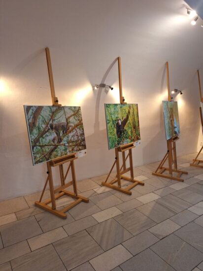 Lucie a Lukáš Zemanovi - Naši nejbližší příbuzní - Mázhaus - Pardubice - 06.07.2024
