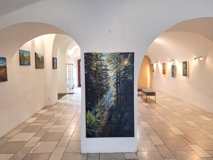Klára Adámková - Klid tváří, klid přírody - Mázhaus - Pardubice - 15.02.2025