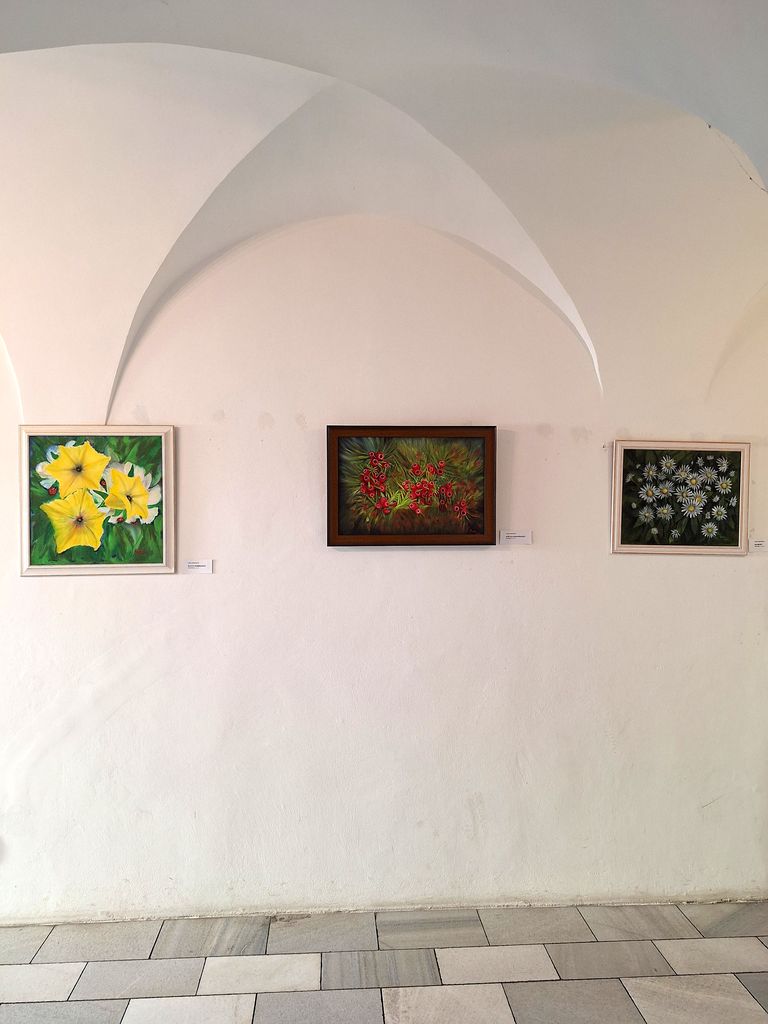 Lidka Bednářová - Můj svět - Mázhaus Pardubice - 26. 8. 2025 - Foto: Jiří Provazník