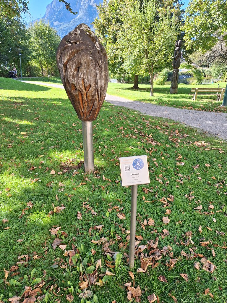 Vlevo Fixpunkt (Marc de Roover, modřín, 1997), vpravo Ortskern (Peter Knoll, dub, 1999) a v pozadí Grimming - Sochařský park Irdning - 18. 9. 2025 - Foto: Jiří Provazník
