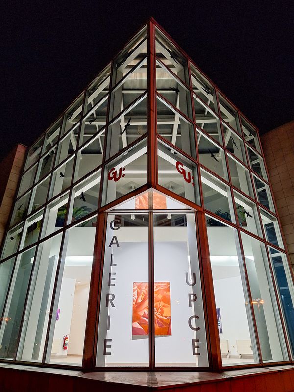 Petr Gruber - Čekání na noc - Galerie Univerzity Pardubice - 29. 10. 2025 - Foto: Jiří Provazník