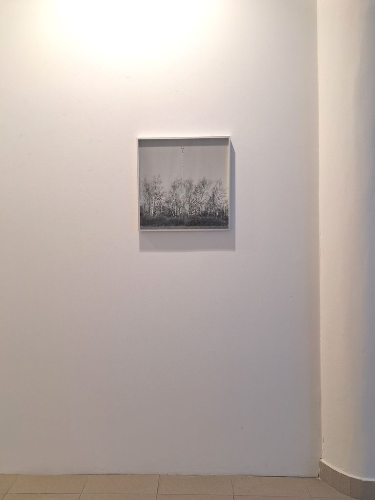 Kaja Juhl / Niels Østergaard Munk - Mise en Scene - Galerie Univerzity Pardubice - 18. 3. 2026 - Foto: Jiří Provazník